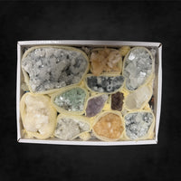 12 Pack - Large Specimen Pack