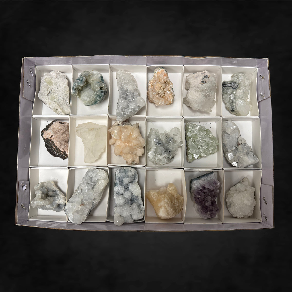 18 Pack - Large Specimen Pack
