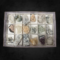 18 Pack - Large Specimen Pack