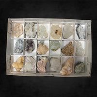 18 Pack - Large Specimen Pack